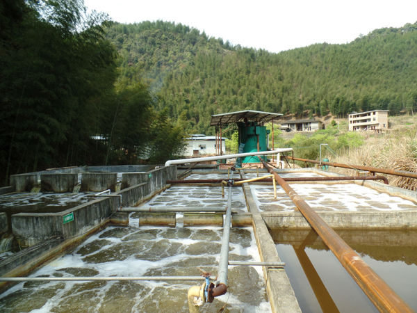 中文字幕一区二区三区精华液